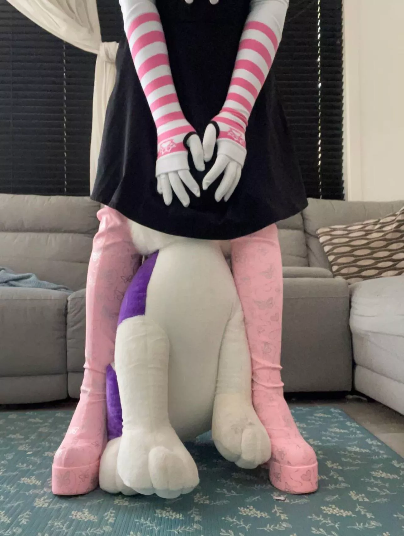 Dog toy is suppose to be you