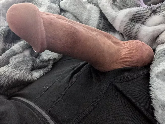 Dripping this morning [36]