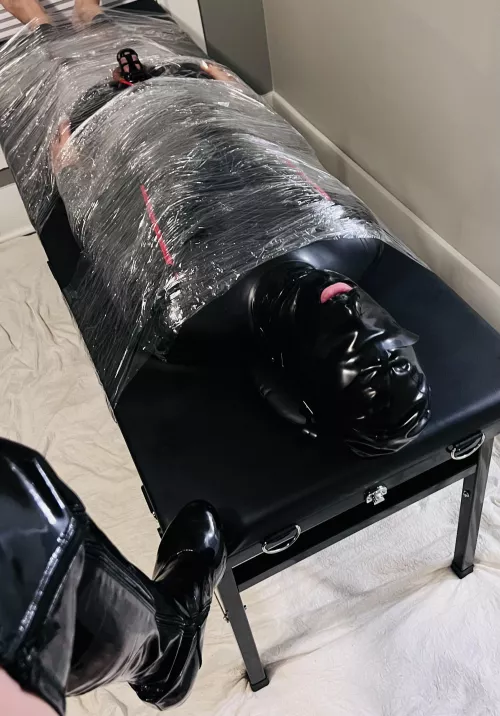 Secured to the table and ready to be teased