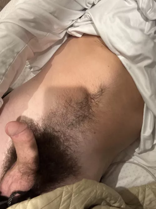 Haven’t trimmed in forever