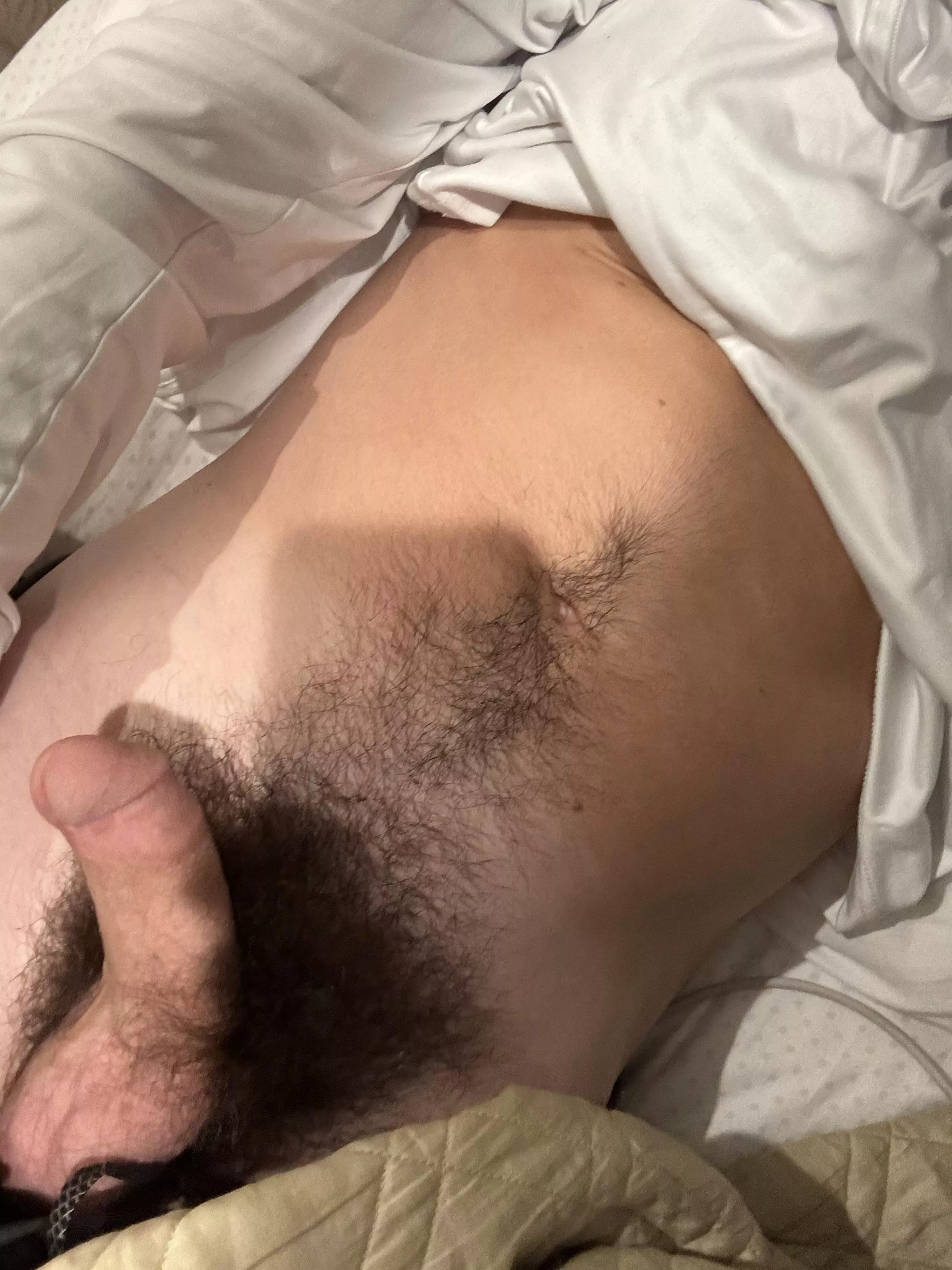 Haven’t trimmed in forever