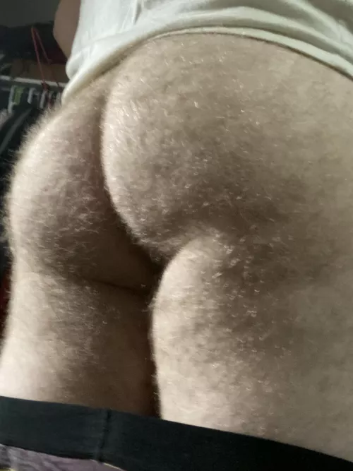 My ass 