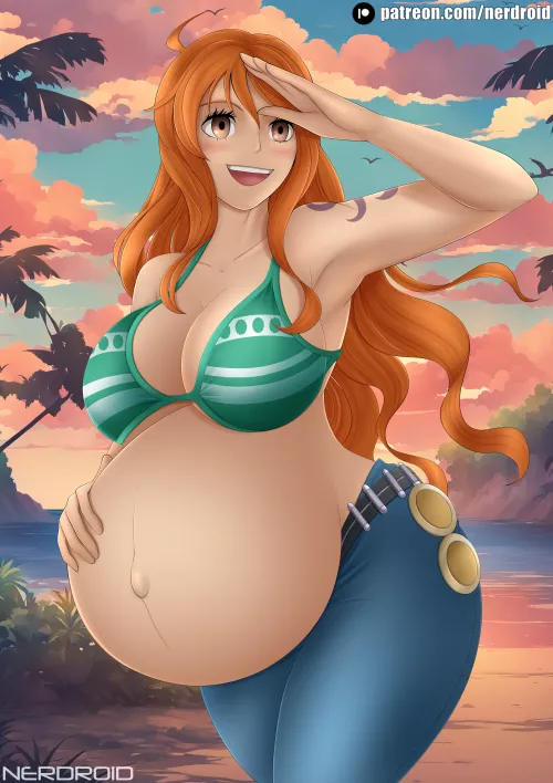 Nami's One Piece(NerDroid)
