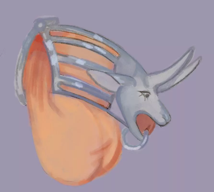 New life as a cock cage (Wizp)