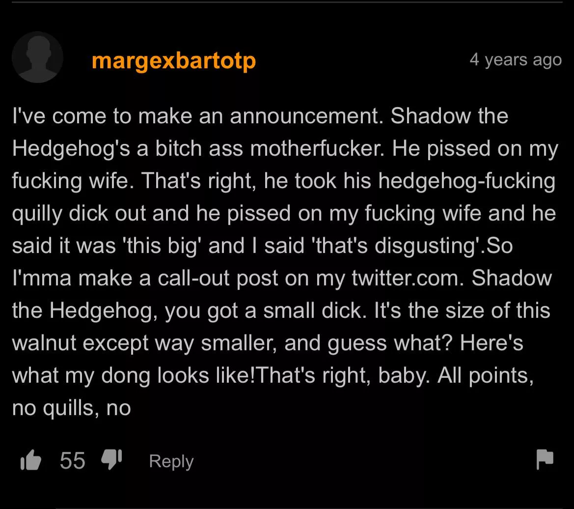 Shadow the hedgehog 