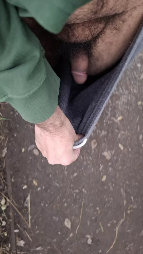 Want a smell of bush on a walk 