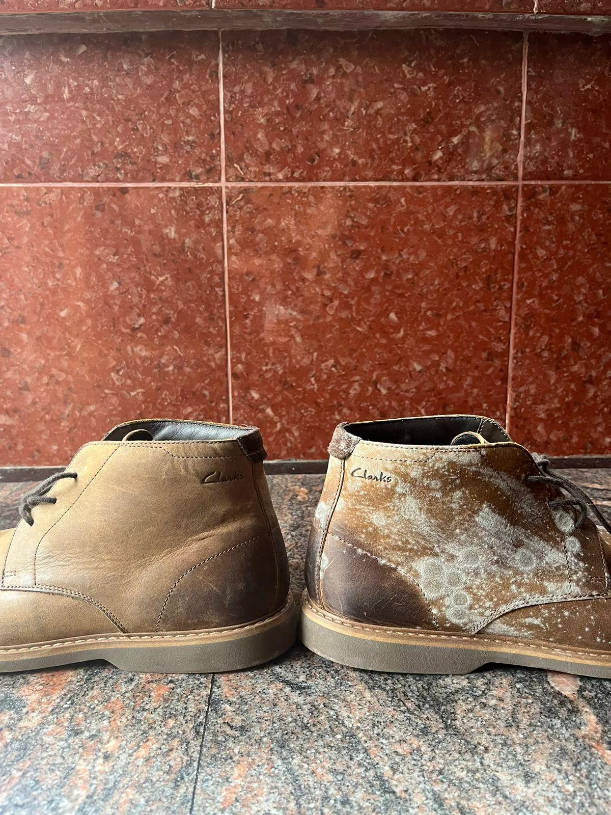 What can I do to get rid off this menace , the sopres spread every time I brush them.