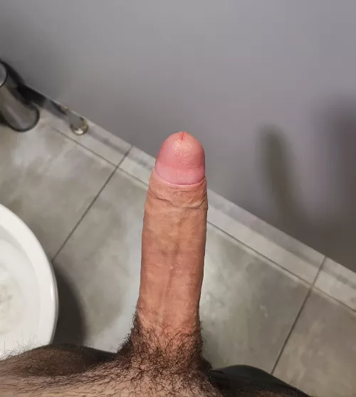 Wish there was someone in the stall to help with this (19)