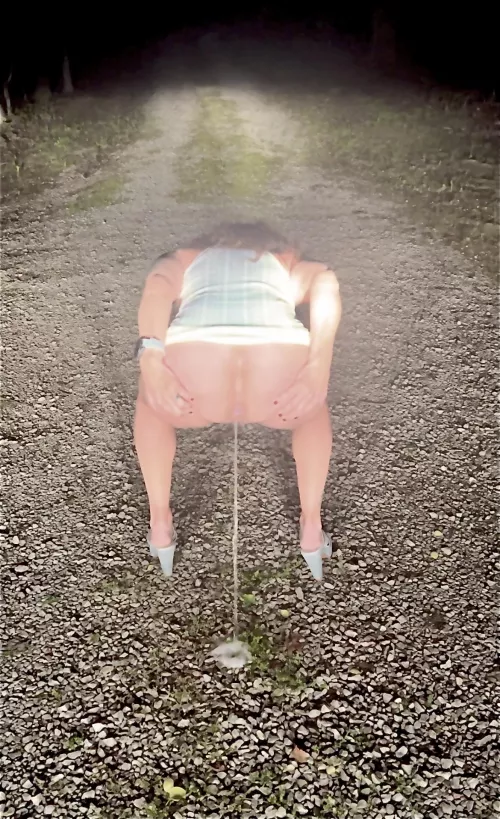 Annie (wife, 55) marked this gravel road…