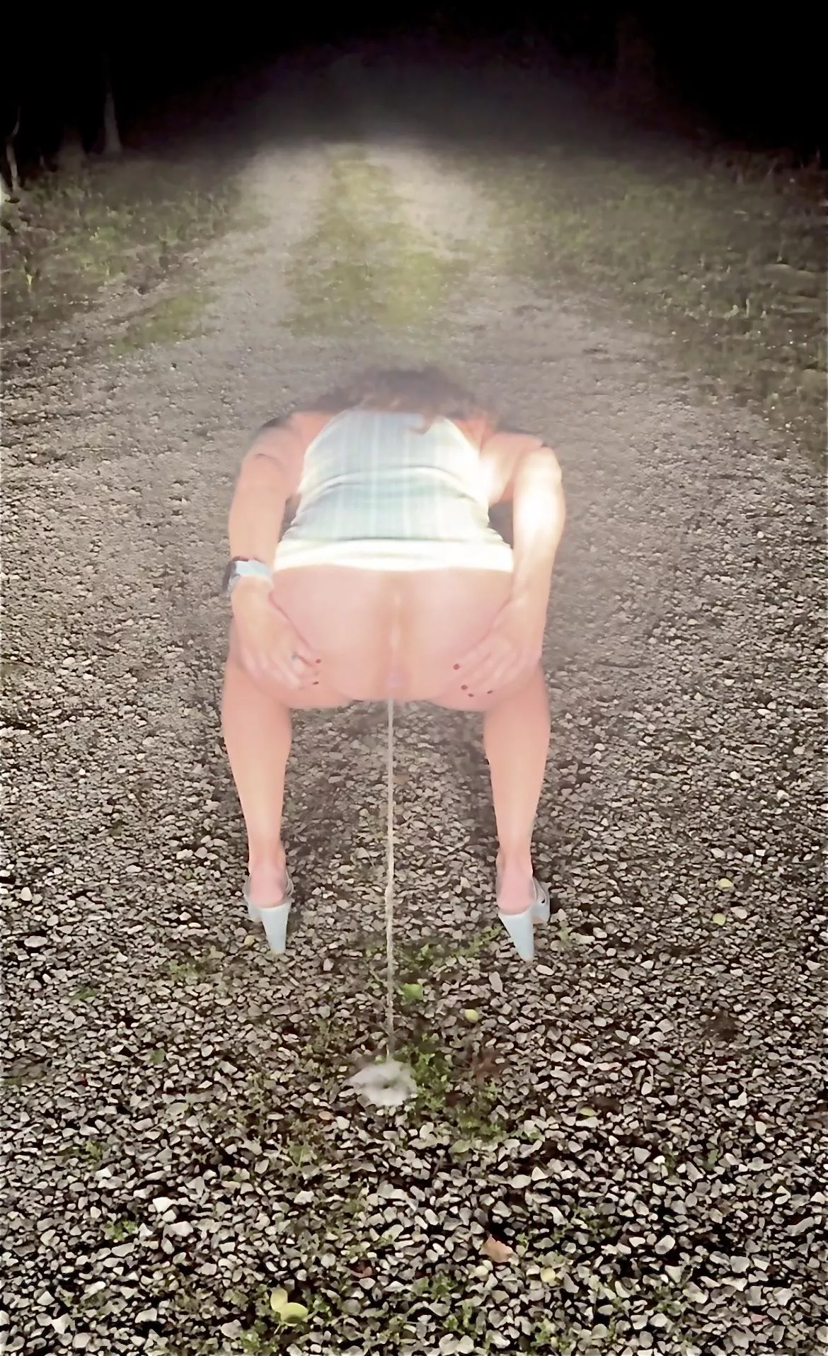 Annie (wife, 55) marked this gravel road…