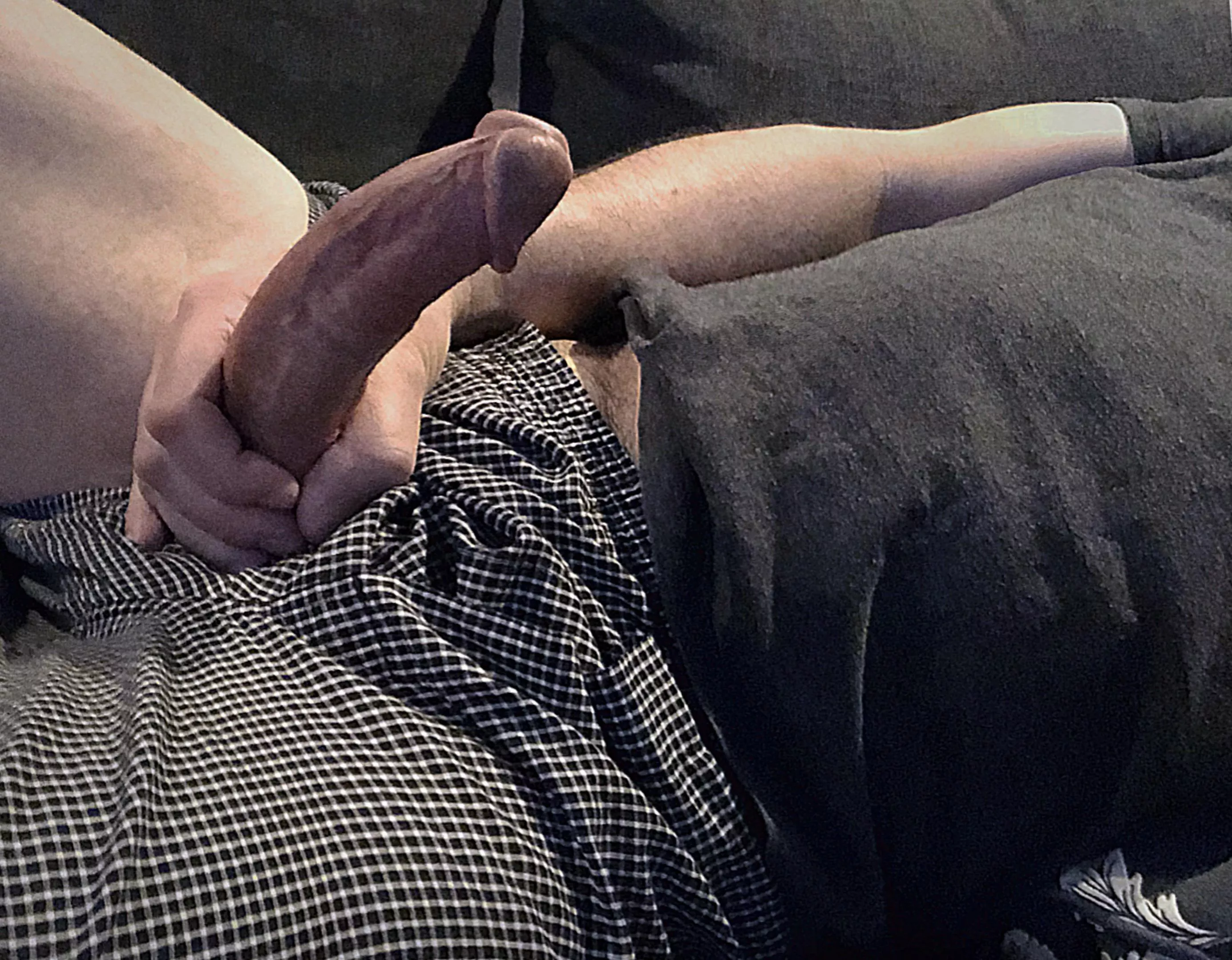 Care for a ride? (43)
