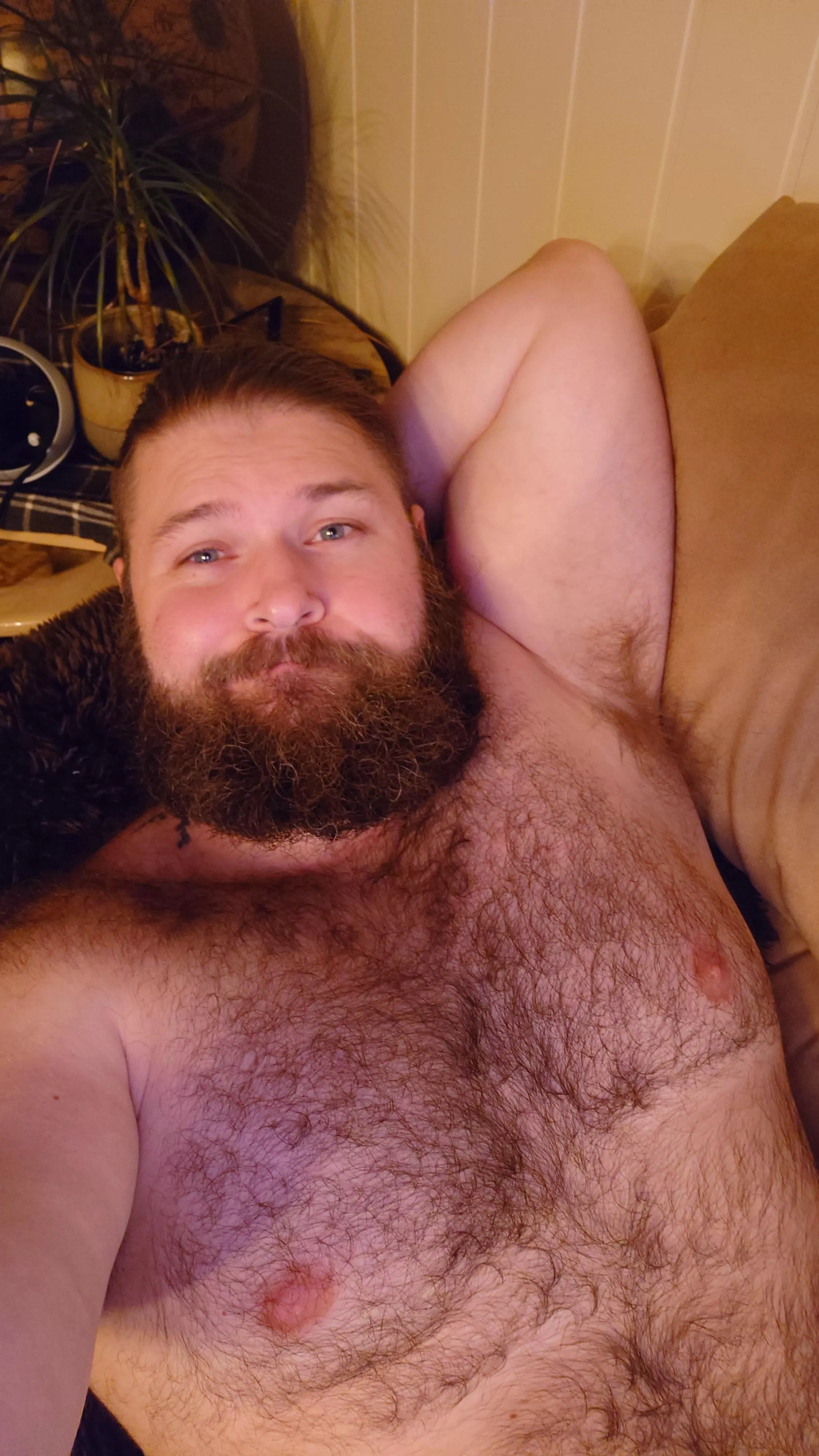 Gaymer bear here who keeps falling asleep on the couch.