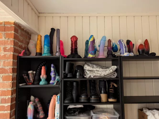 My collection (I need more) 