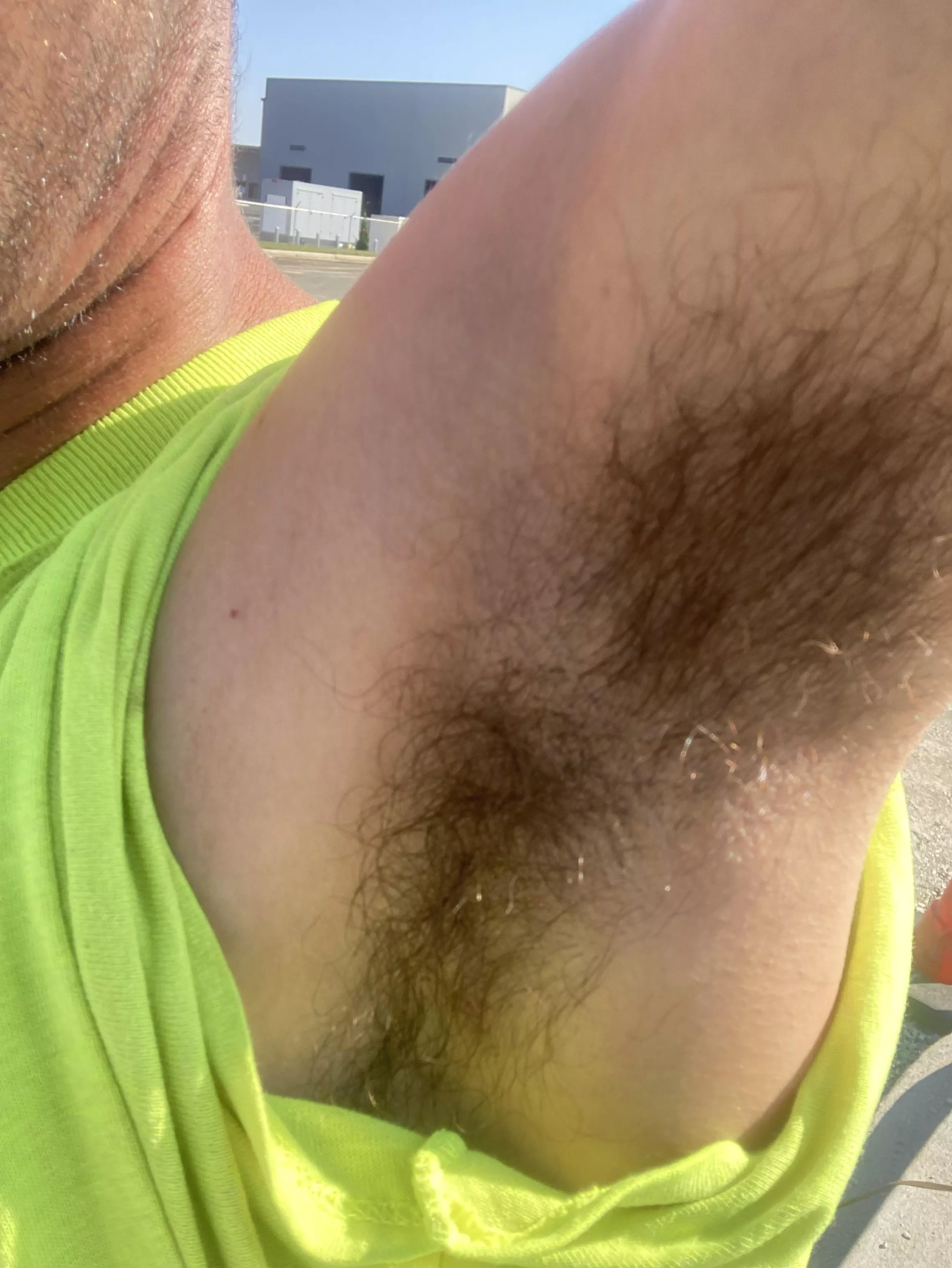 Summer is cumming to an end 