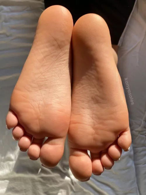 aren’t they gorgeous 