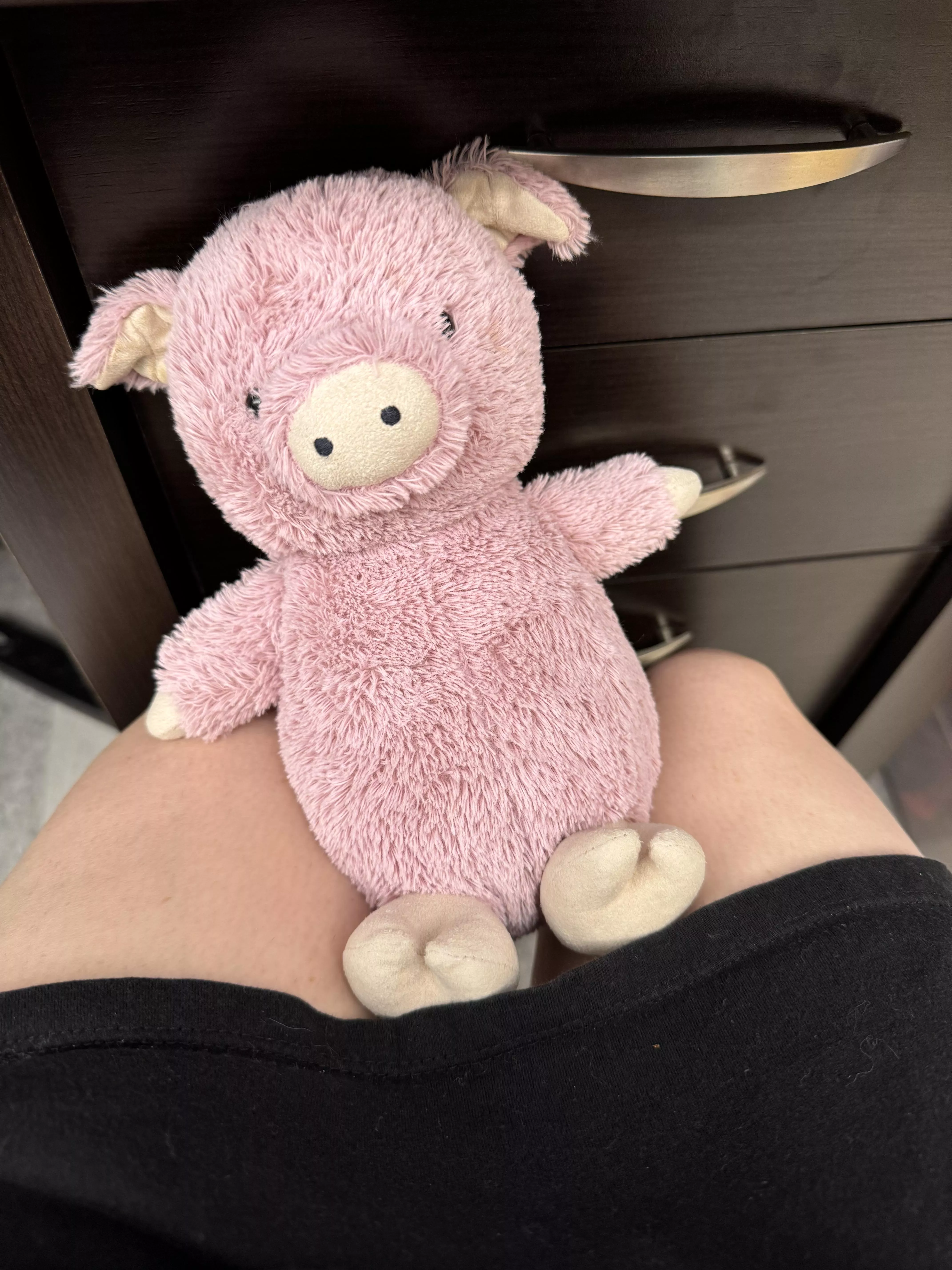 brought my piggy, stella, to work with me today 🥺💕