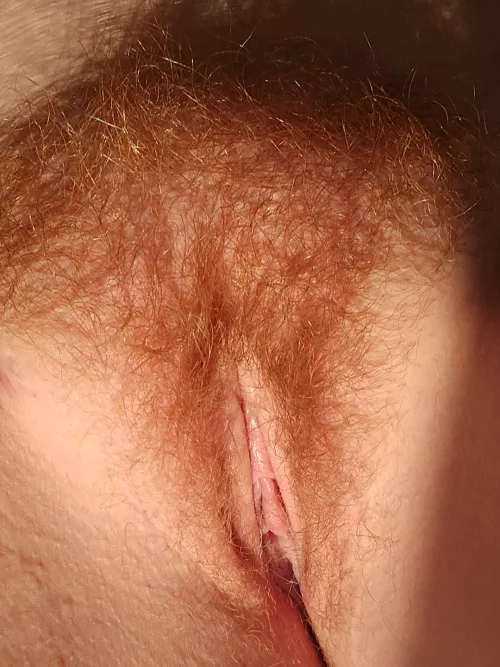 Can you tell I love taking pics at this hour