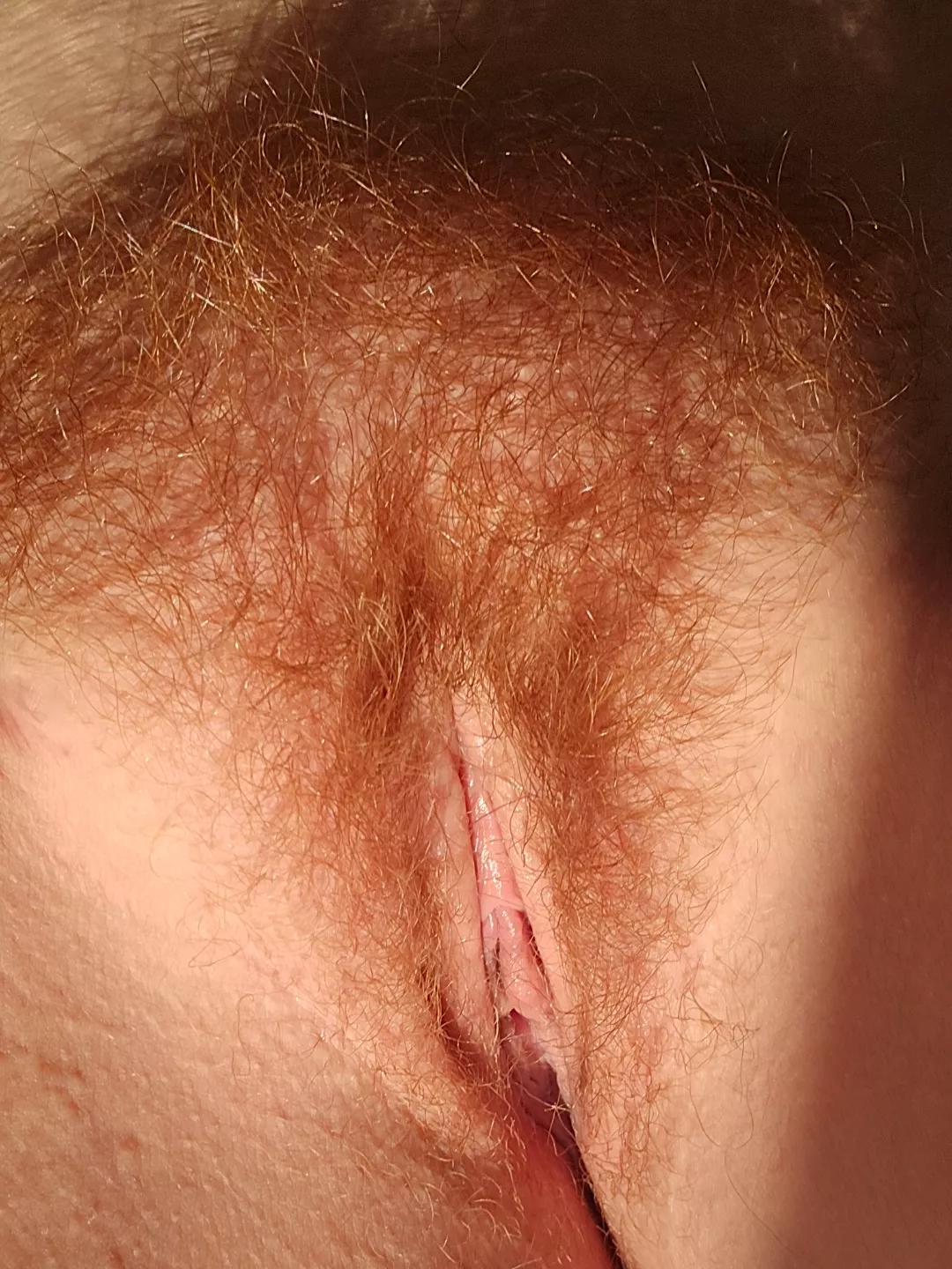 Can you tell I love taking pics at this hour