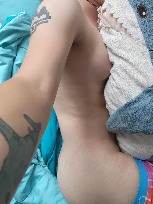 I ate something I shouldn't have and now I'm a silly kitty, what should I do?