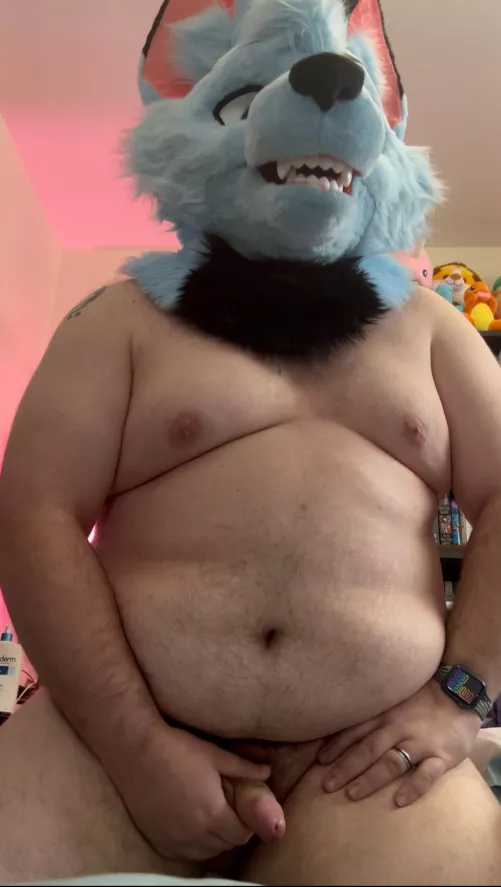 I heard some of you really like bellies