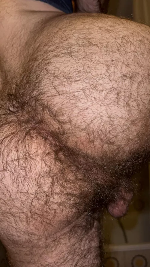 I need someone to eat my ass now