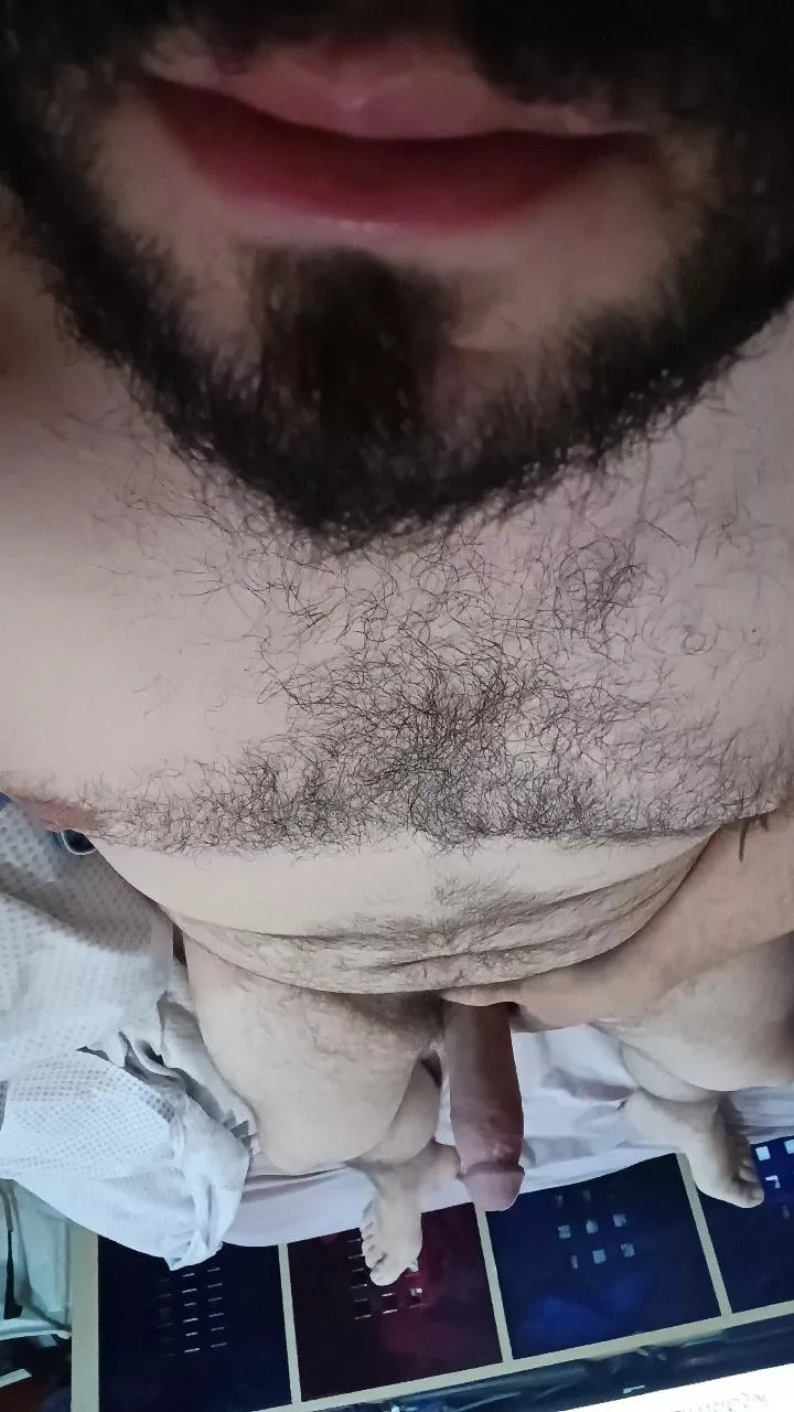 Save a horse, ride a bear