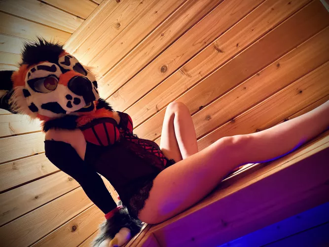 Who’s joining me in the Sauna?? 🌶️🌶️🐾