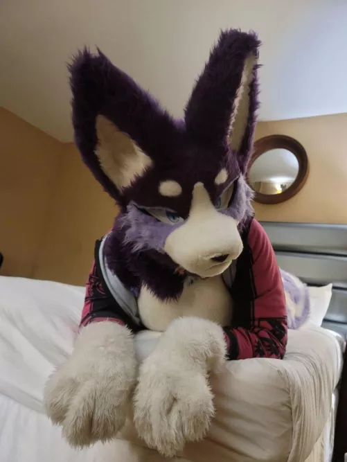 Hmm...? You gonna pet me or what?