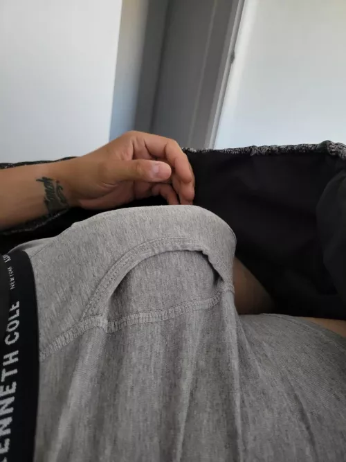 Should I let it out? (35)