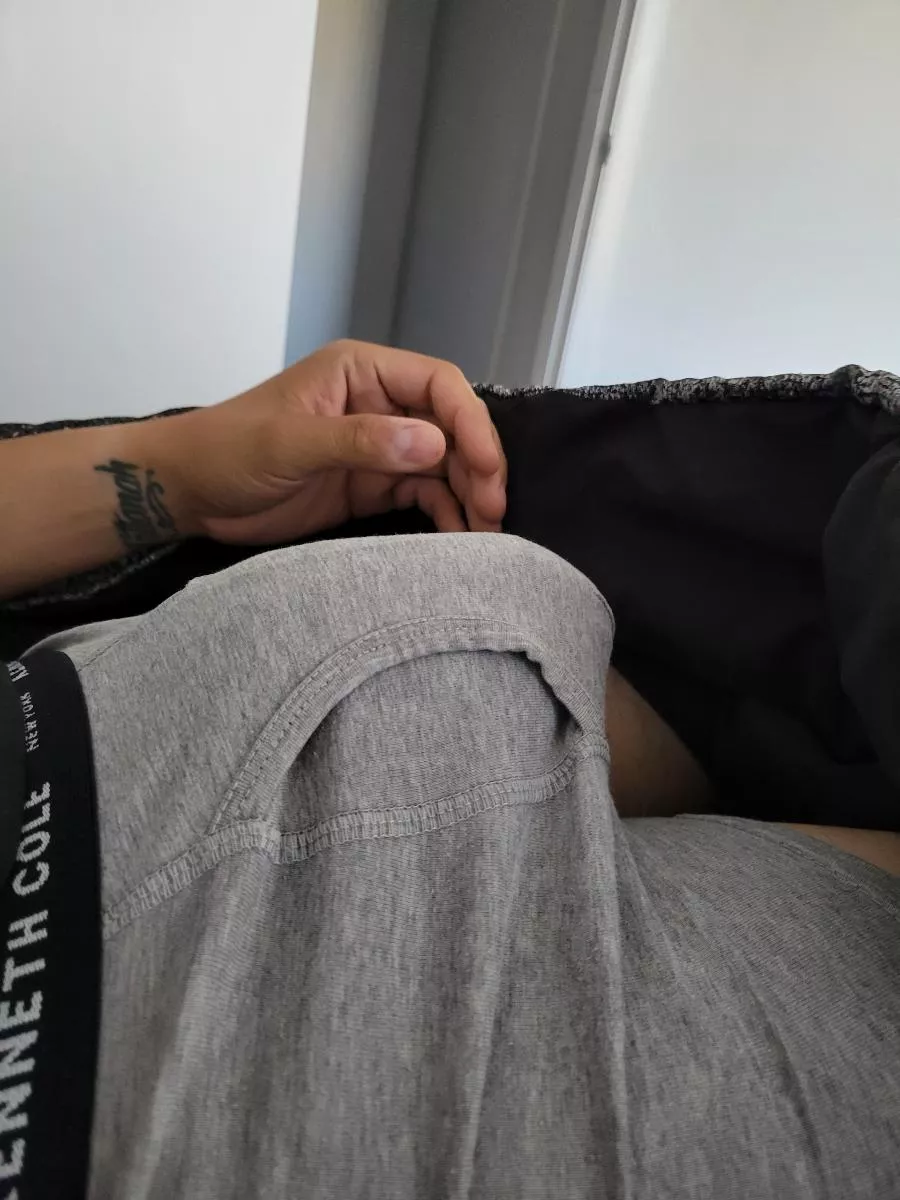 Should I let it out? (35)