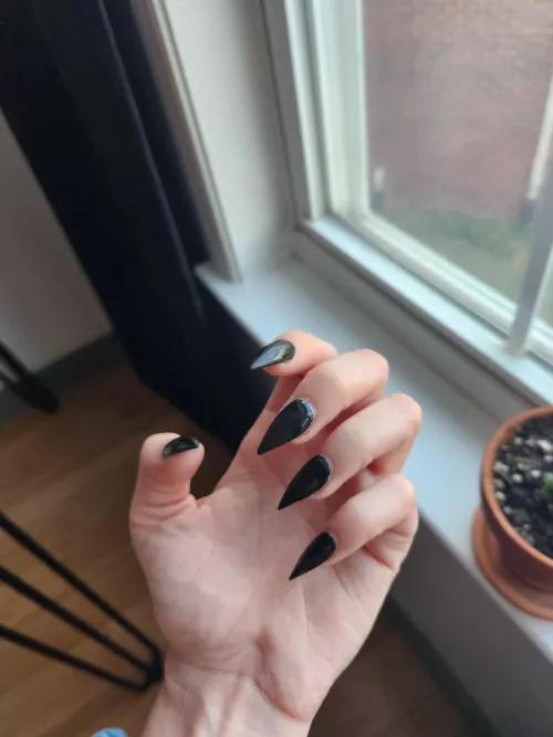 The Better To Scratch You With