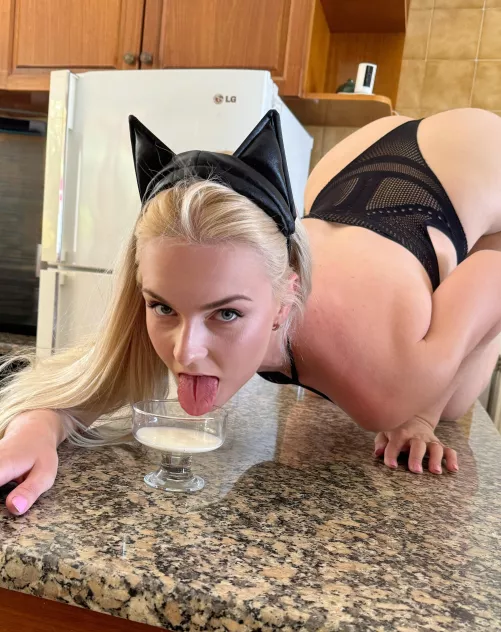 This cat loves other milk