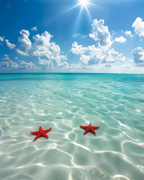 Crystal clear water in Bahamas 🩵