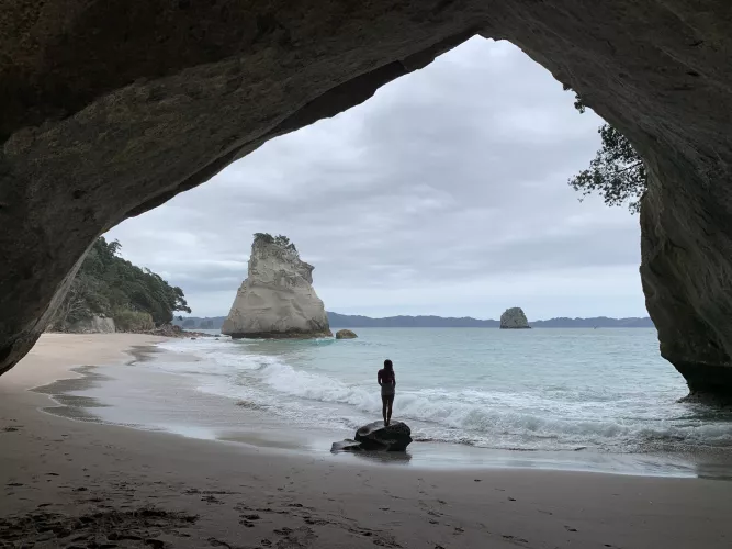 Have you been to Narnia’s beach, Cathedral Cove? 🦁