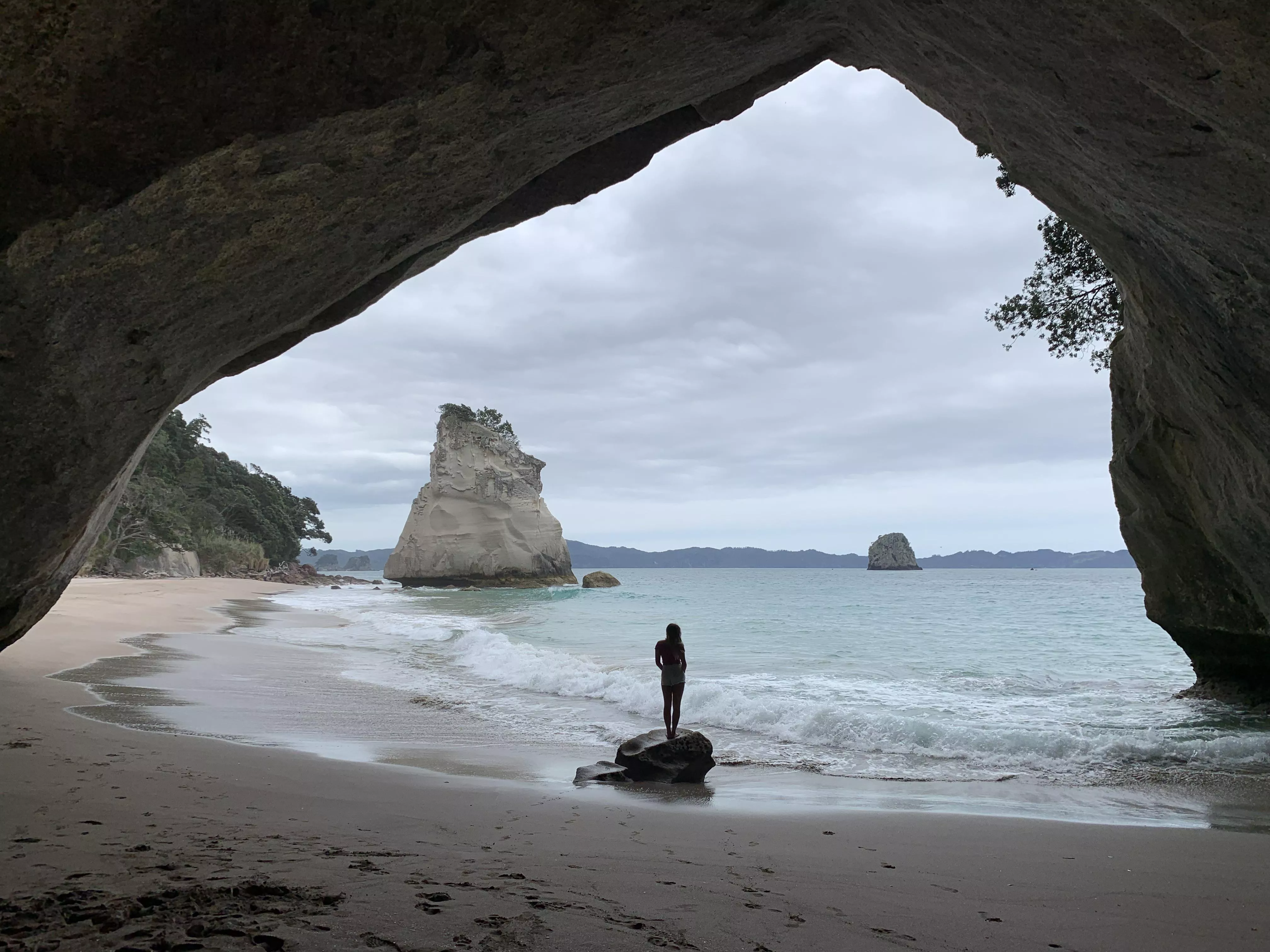 Have you been to Narnia’s beach, Cathedral Cove? 🦁
