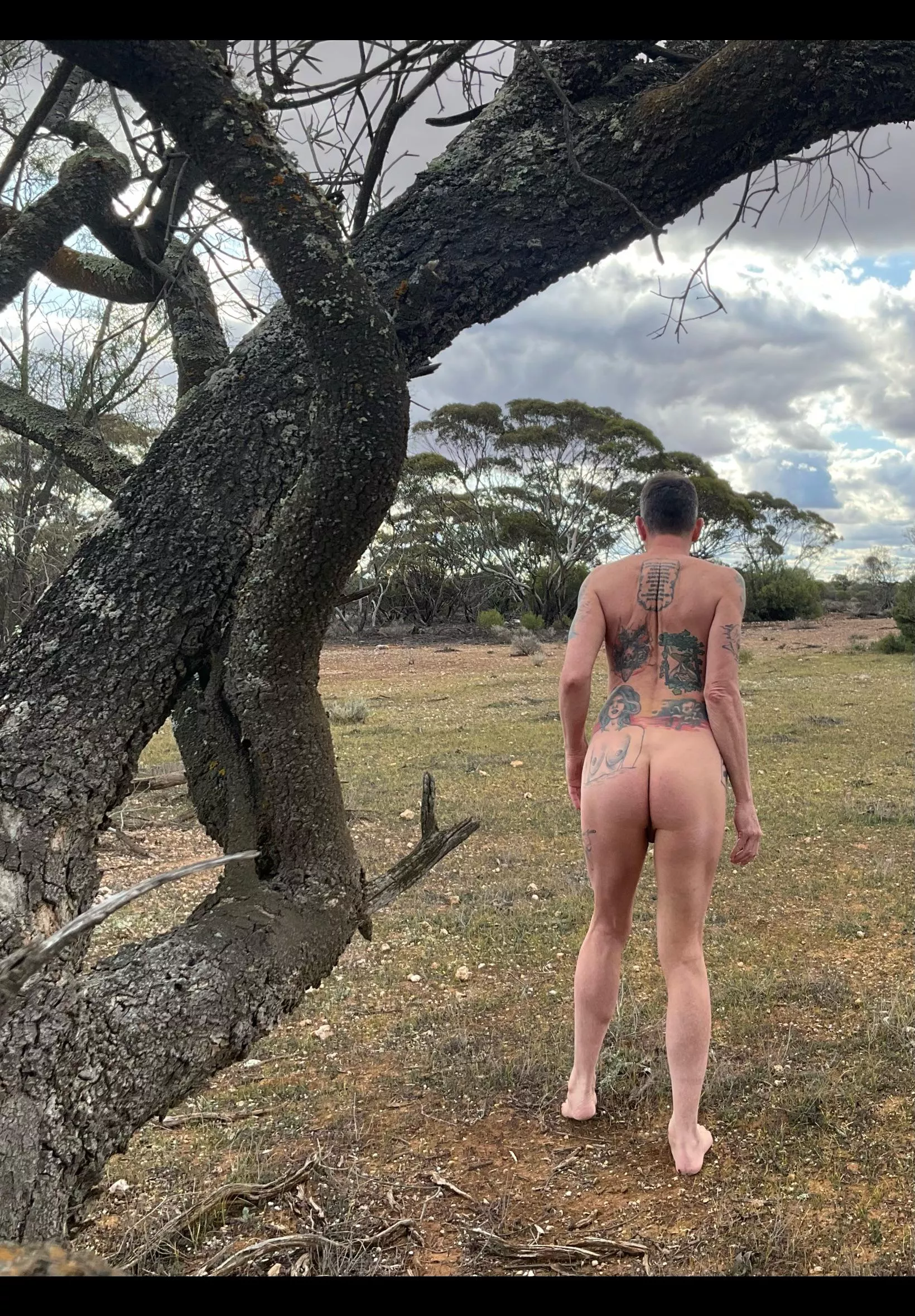 Naked at the safari park