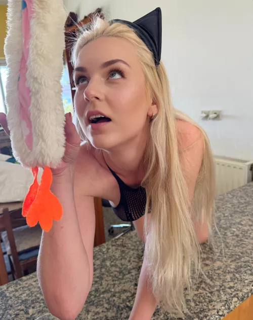 Play with this cute kitten