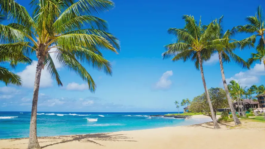 The amazing view only in the Philippines