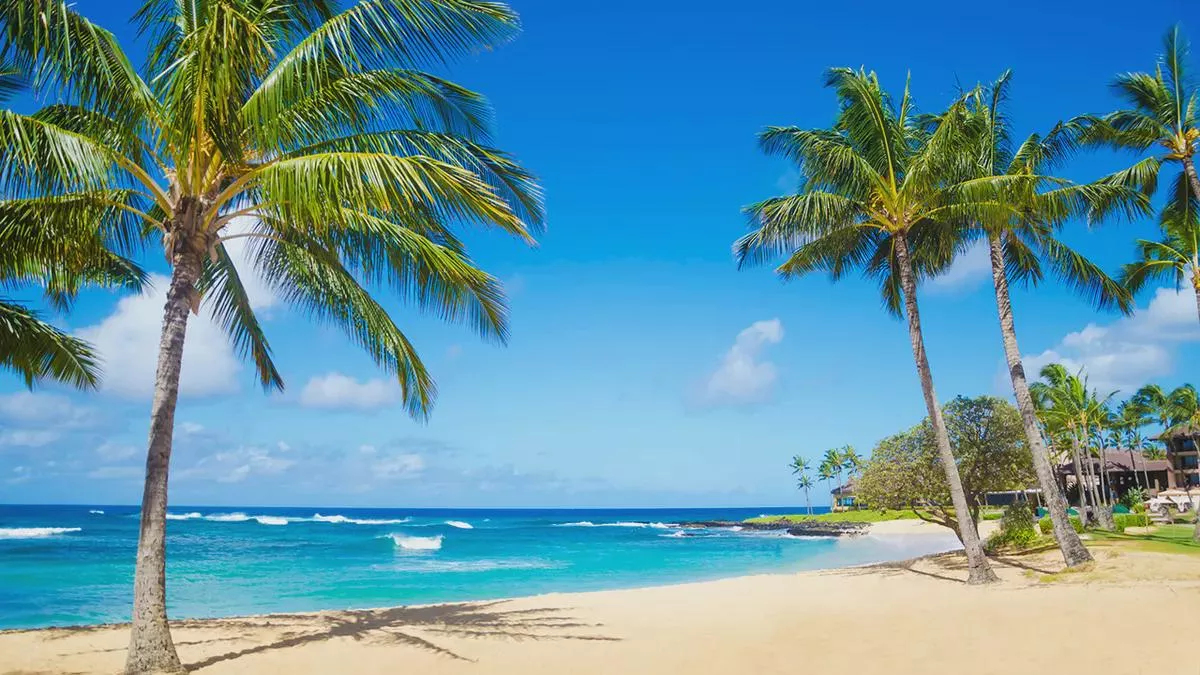 The amazing view only in the Philippines