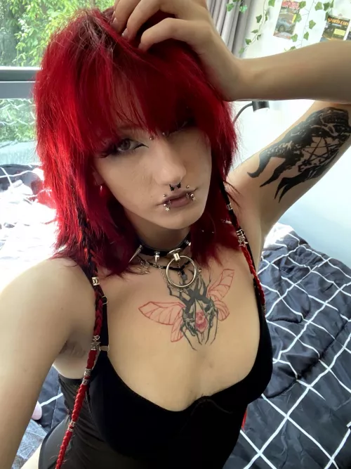 Collared and craving your control