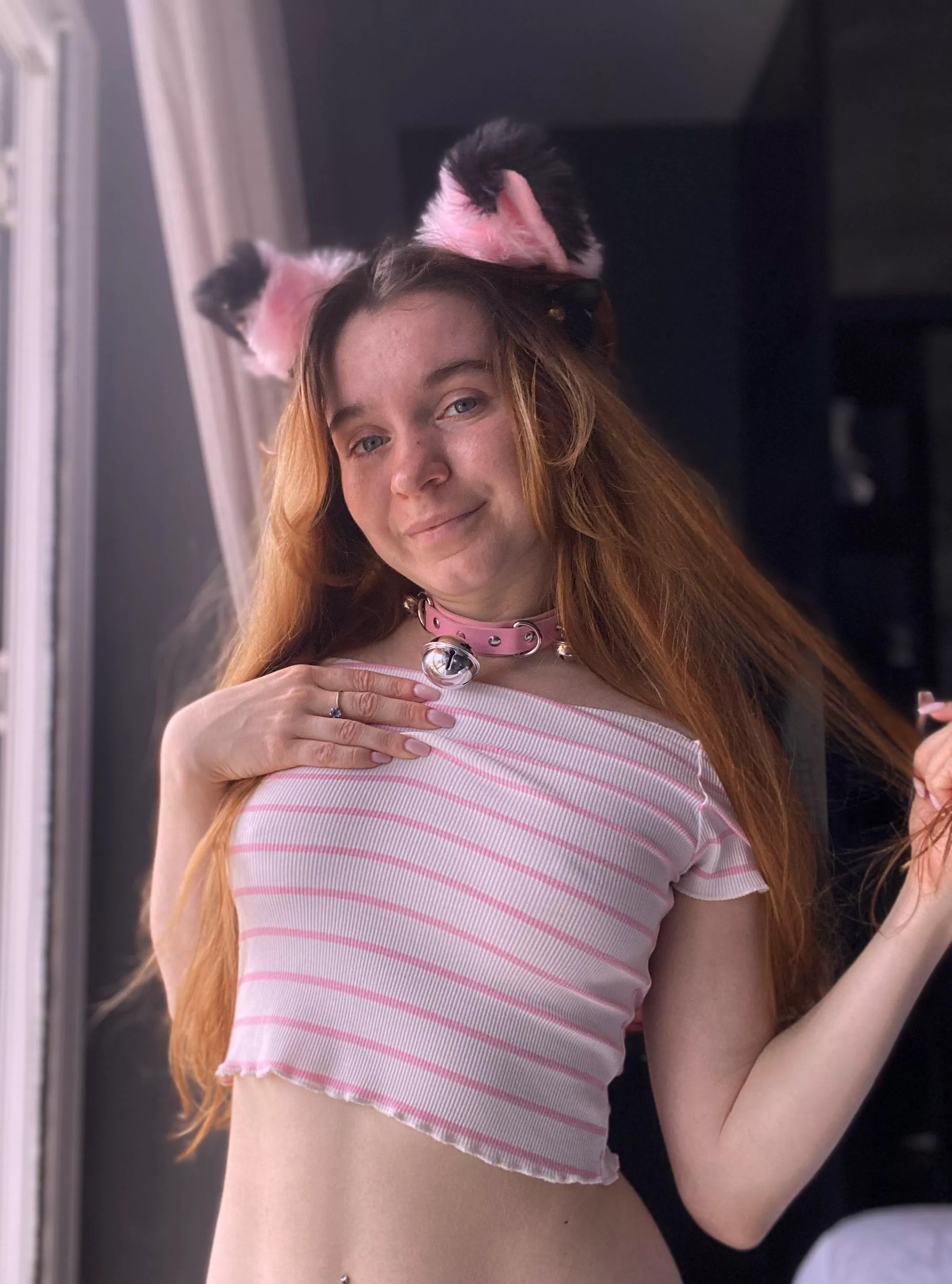 I'm trying to be a wild cat but I'm still a cute kitty at heart