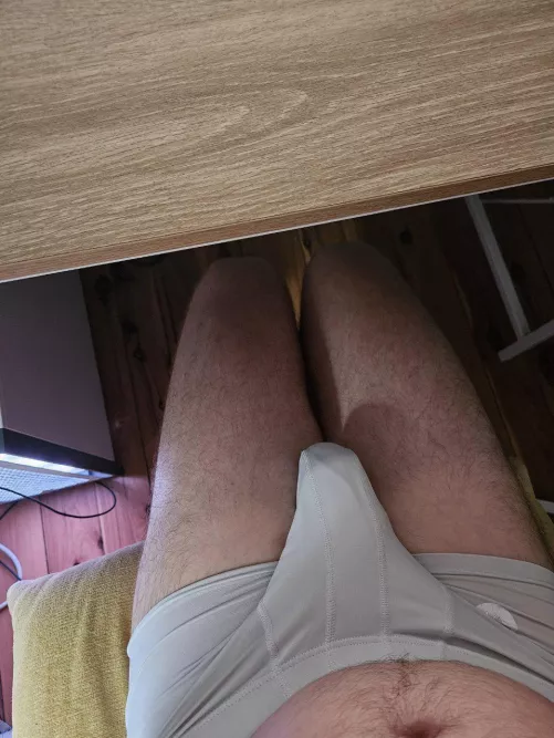 My Aussie softie bulge
