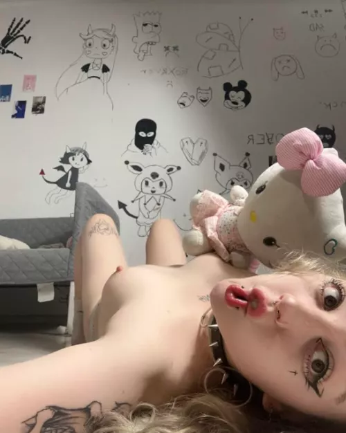 My kitty is looking to be adopted 🐱