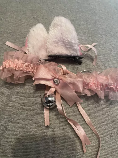 New set of cat ears and collar
