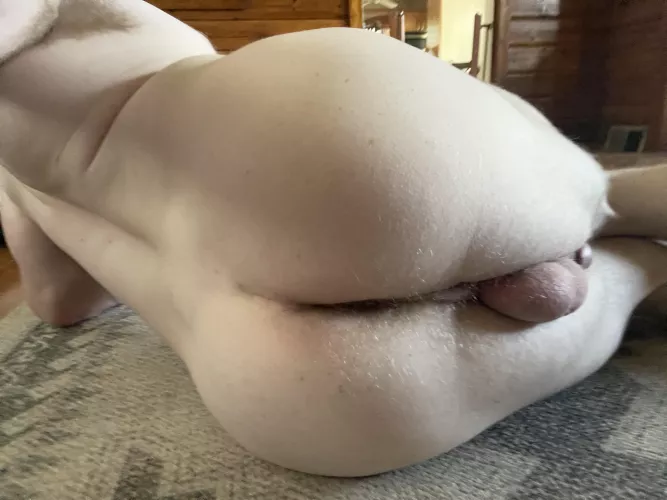 Who wants to break in my ass