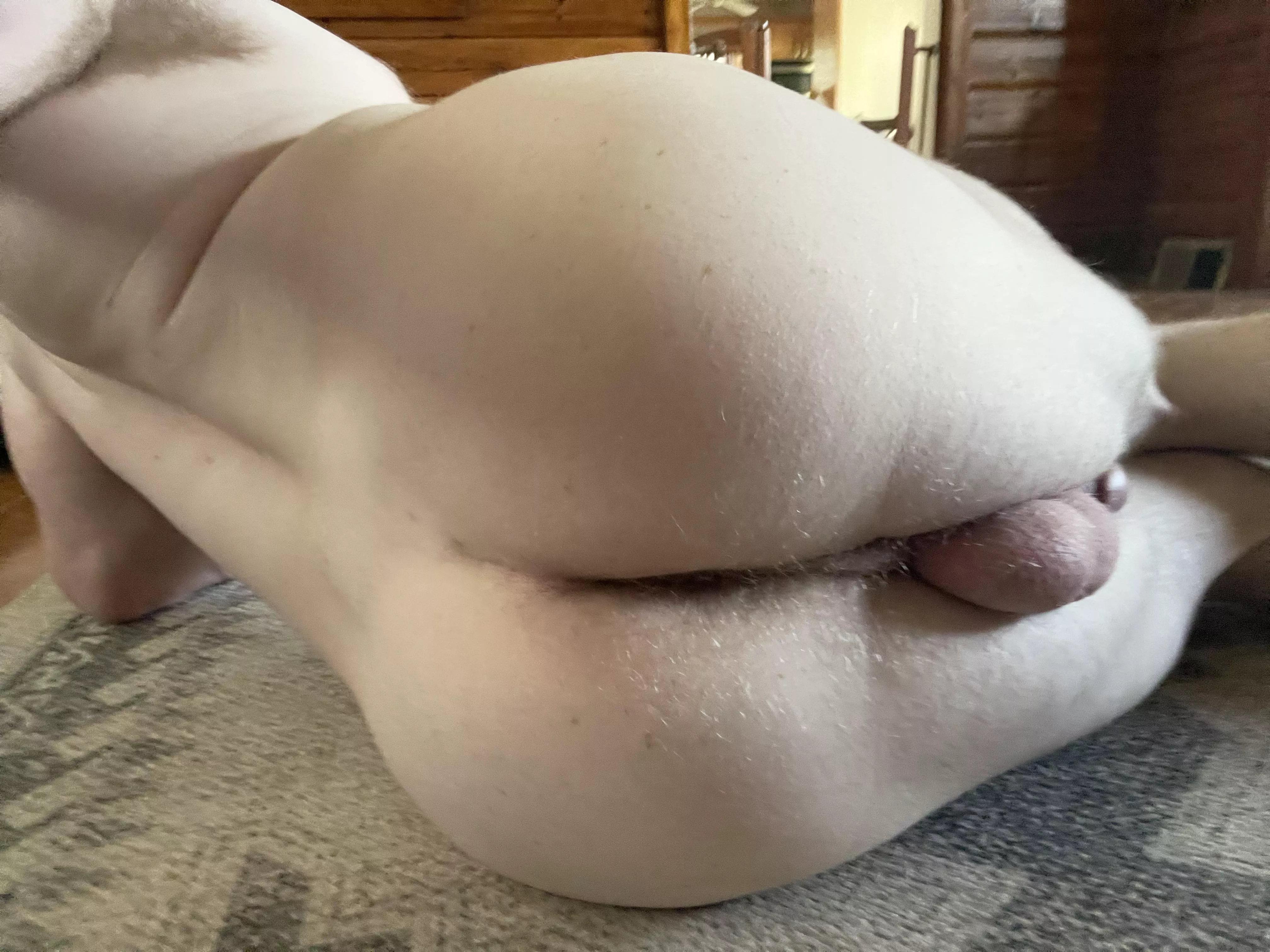 Who wants to break in my ass