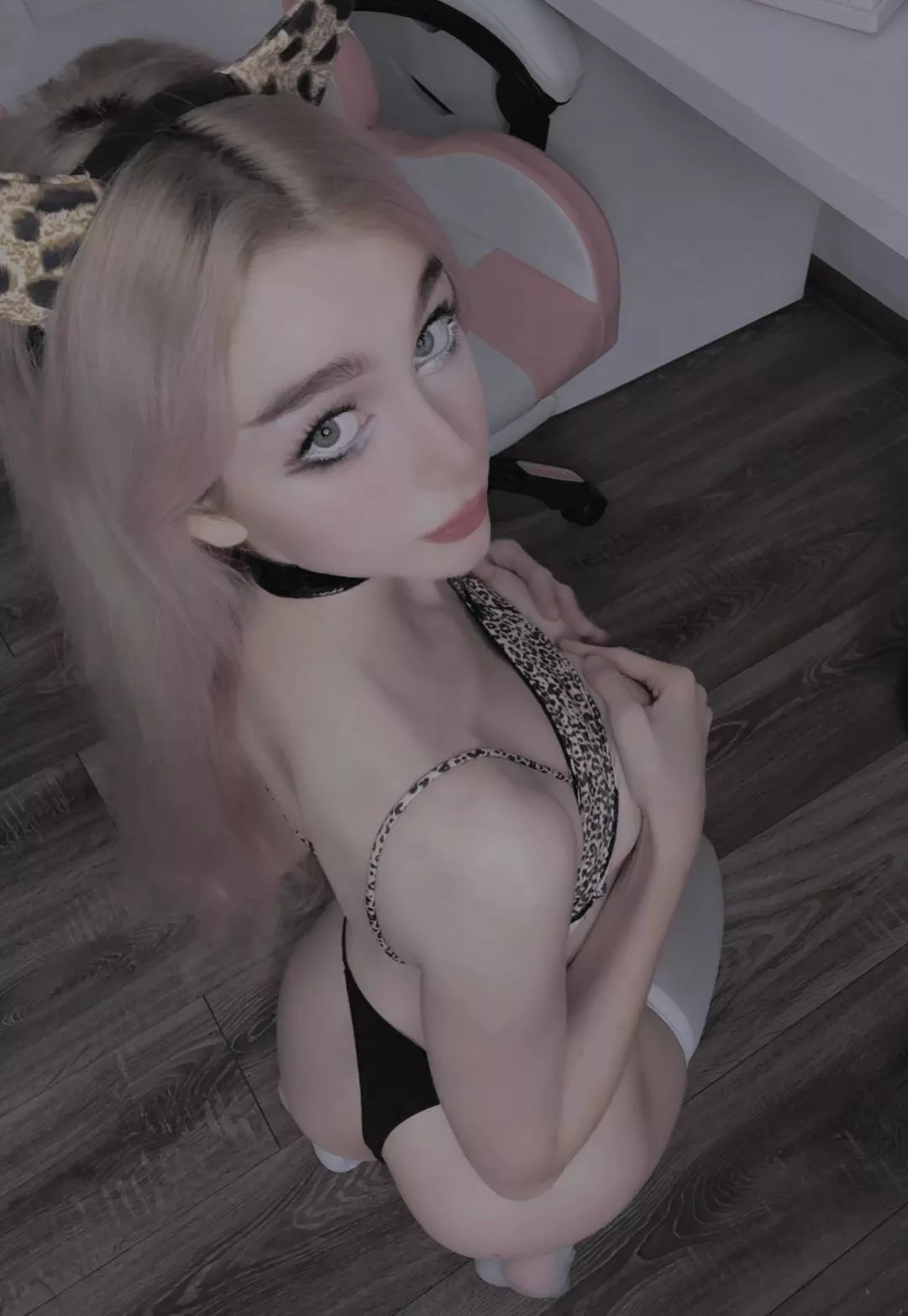 Can u pet my head? 😜🐱