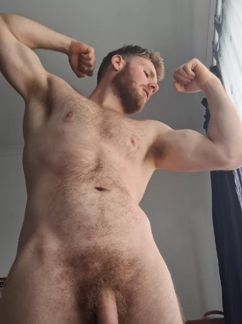 Could you resist the fuzz?