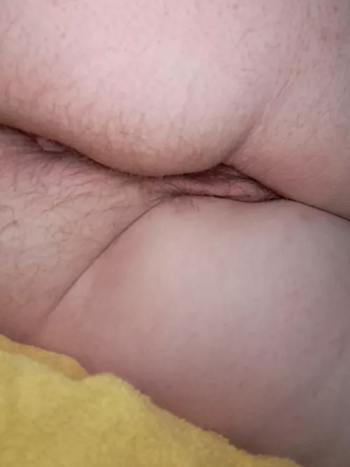 [H]airy pussy and ass