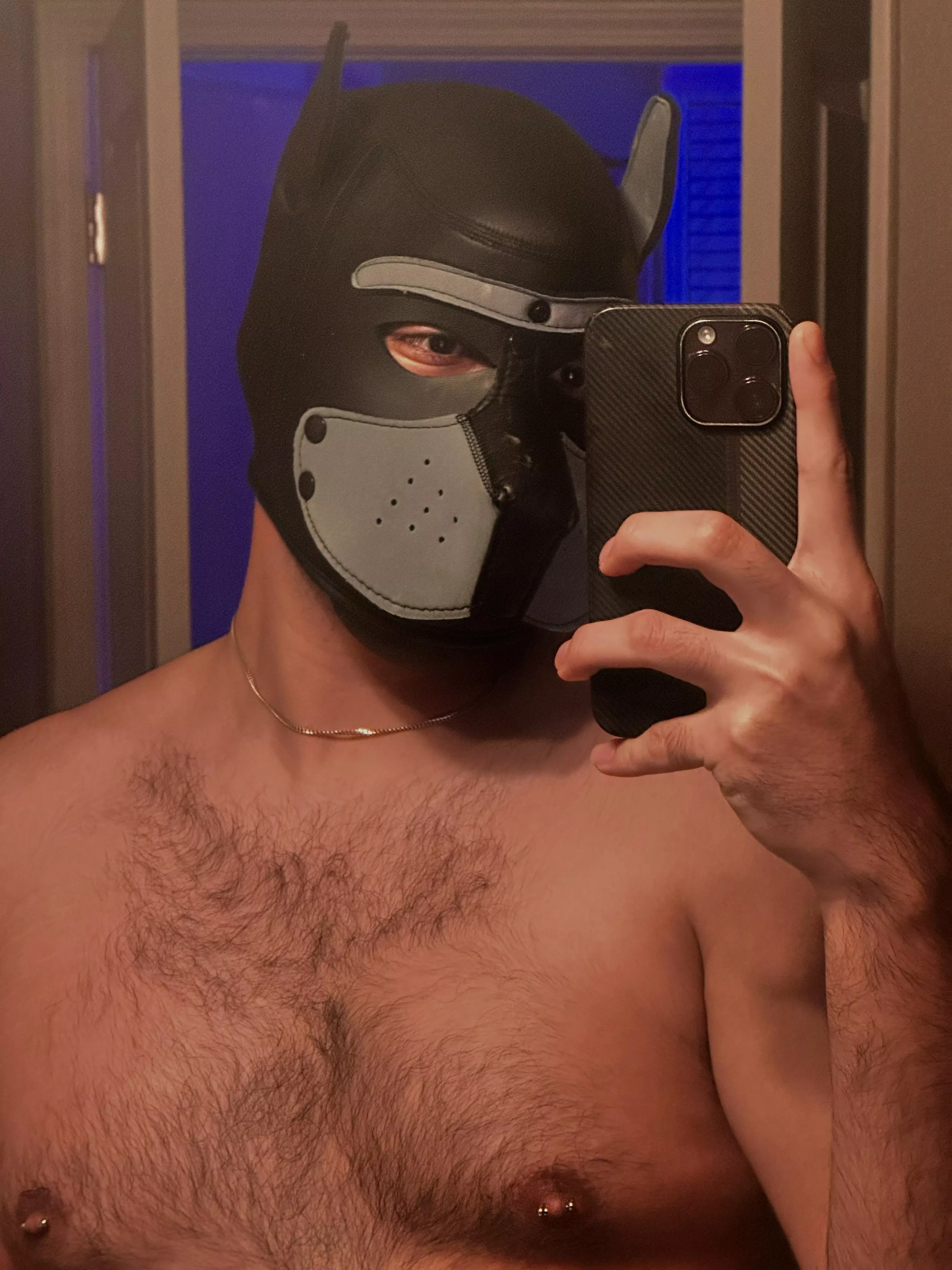 Help me find my pup name (: